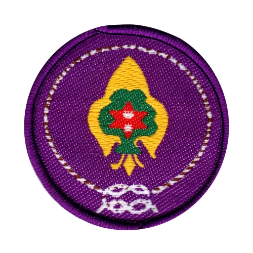 district-commisner-badge-dcb299
